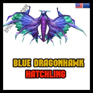 Aigle dragon bleu - éclosion