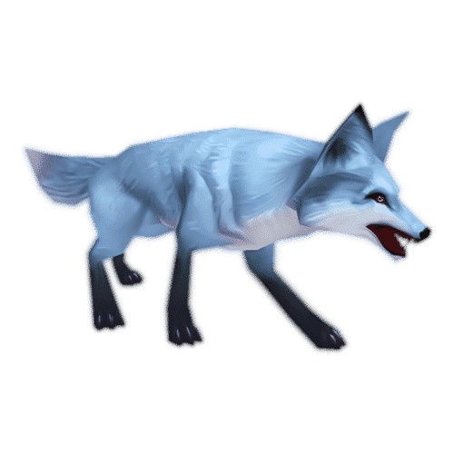 Kit Arctic Fox